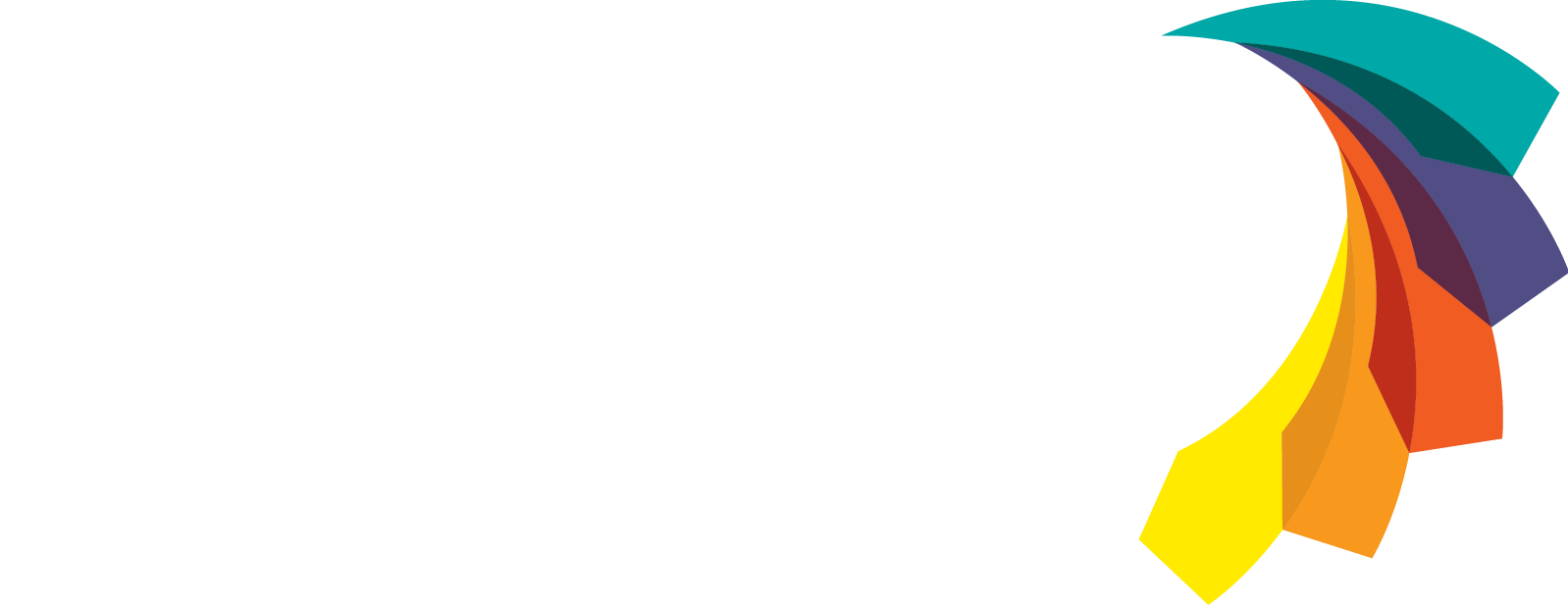 RJ Young